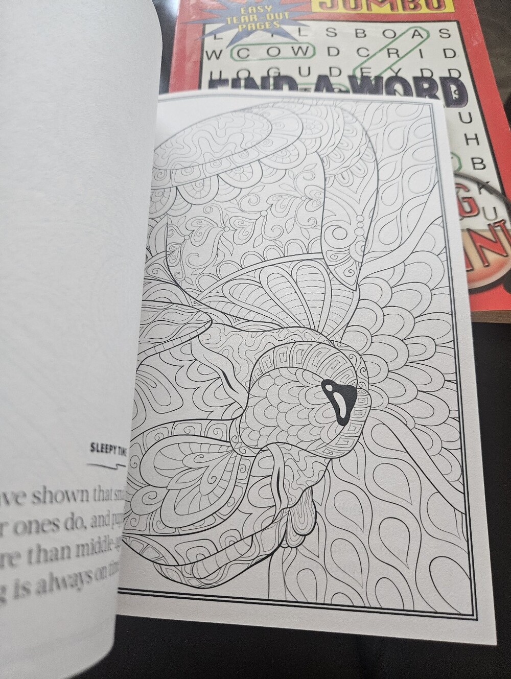 DOG Coloring Book - Multicolor - Picture 7 of 7